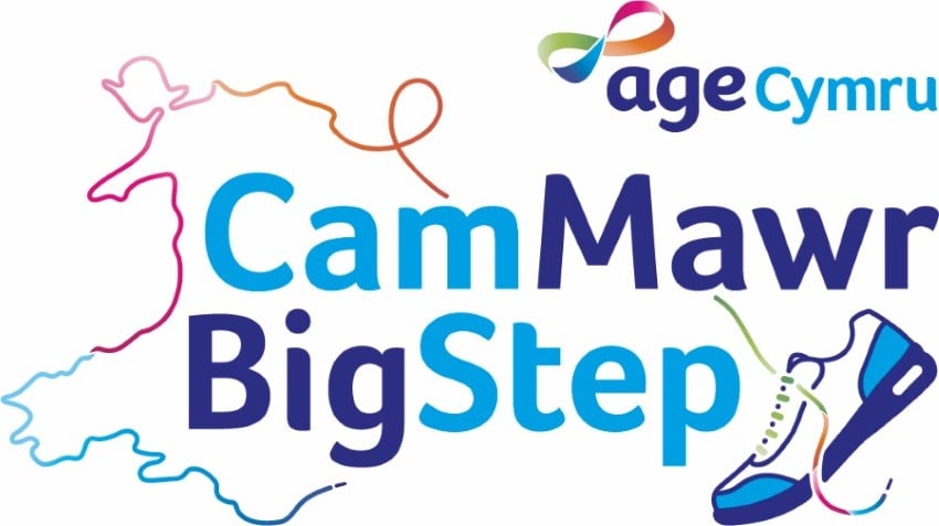 Big Step logo